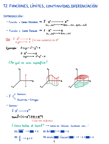 T2.-Funciones-Limites-Continuidad-Diferenciacion-CAVEC.pdf