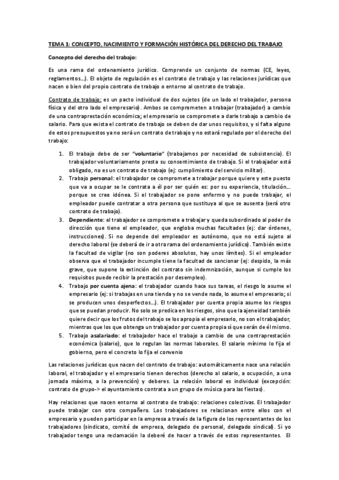 temas-derecho-trabajo.pdf