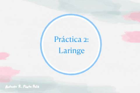 Practica-2-Laringe.pdf
