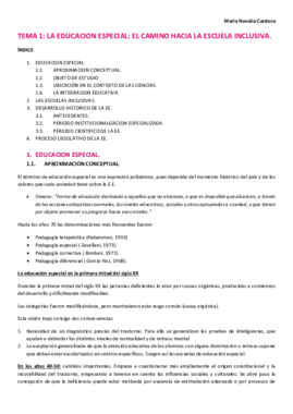 TEMA 1.pdf