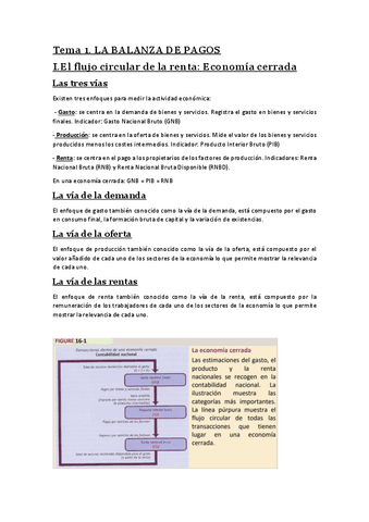 Tema1-Macro2.pdf