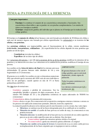 TEMA-6-PATOLOGIA-DE-LA-HERENCIA.pdf