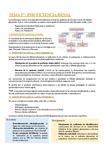 TEMA-27-INSUFICIENCIA-RENAL.pdf