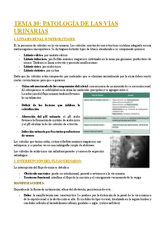 TEMA-30-PATOLOGIA-DE-LAS-VIAS-URINARIAS.pdf
