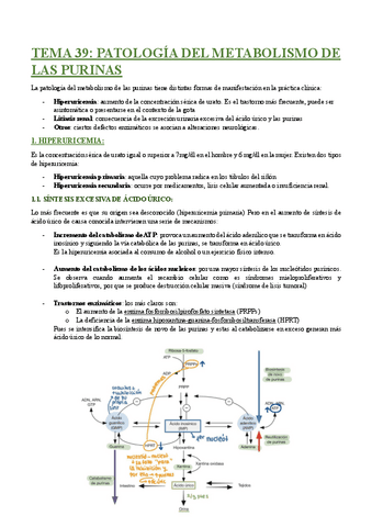 TEMA-39-PATOLOGIA-DEL-METABOLISMO-DE-LAS-PURINAS.pdf