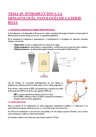 TEMA-45-INTRODUCCION-A-LA-HEMATOLOGIA.-PATOLOGIA-DE-LA-SERIE-ROJA.pdf