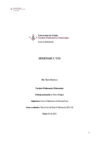 Seminari-3-VGI.pdf