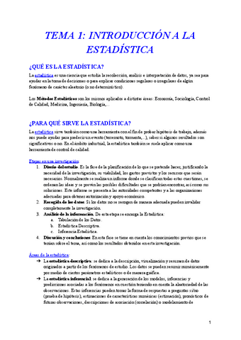 MEI-apuntes.pdf