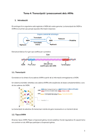 Tema-4-Transcripcio-i-processament-dels-ARNs.pdf