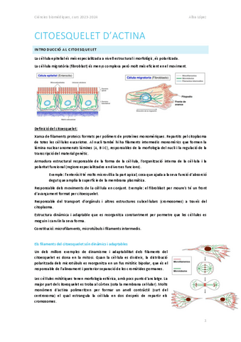Tema-1.-Citoesquelet-dactina.pdf