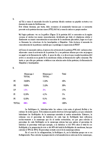 Problemas-RESUELTOS.pdf