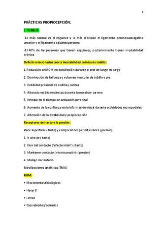 PRACTICAS-PROPIOCEPCION.pdf