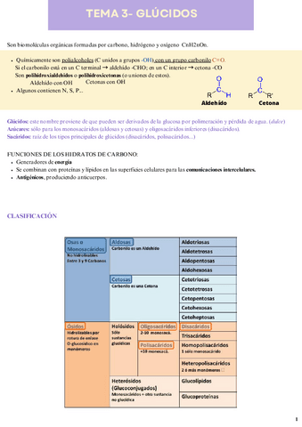 Tema-3-Glúcidos-Biomoléculas orgánicas-2ªBach.pdf