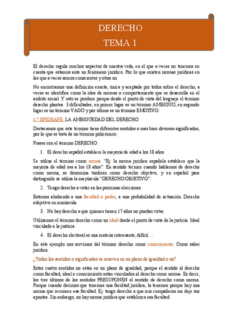 Temas-de-DERECHO.pdf