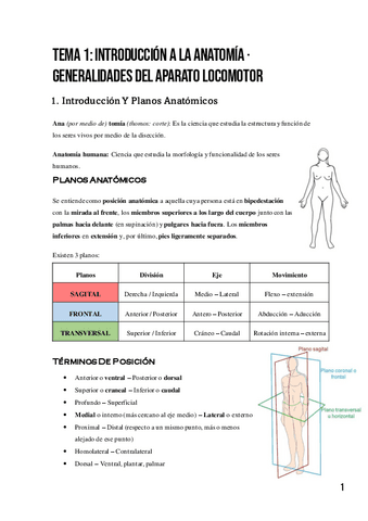 Anatomia-MMSS-y-MMI.pdf