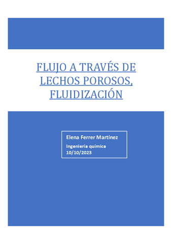 Informe-fluidizacion-Audelino.pdf