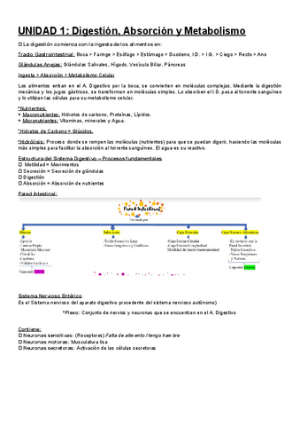 RESUMEN-FISIO.-TEMA-1-2-3-4-5.docx-2.pdf