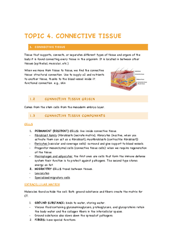 TOPIC-4-CONNECTIVE-TISSUE.pdf
