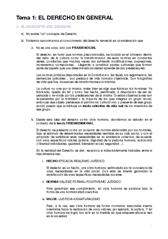 TEMA-1-INTRODUCCION-AL-DERECHO.pdf