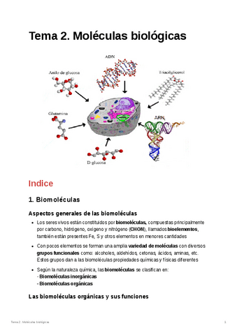 Tema-2.-Moleculas-biologicas.pdf