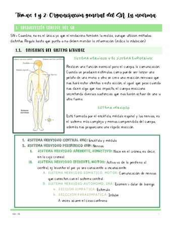 Temas-1-y-2-Organizacion-del-SN-La-neurona.pdf