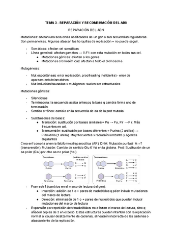 TEMA-3-REPARACION-Y-RECOMBINACION-DEL-ADN-Completo.pdf