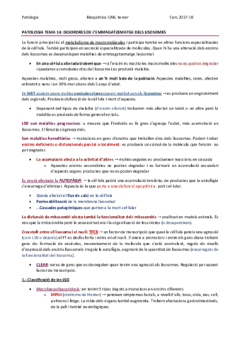 PATOLOGIA TEMA 14 - DESORDRES DE L’EMMAGATZEMATGE DELS LISOSOMES.pdf