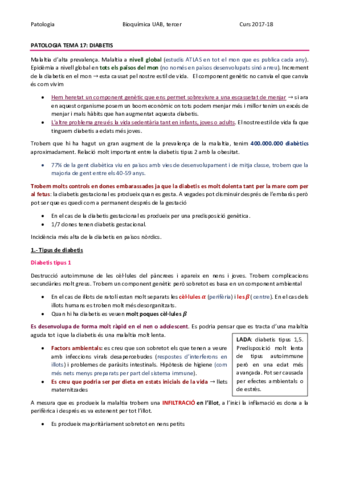 PATOLOGIA TEMA 17 - DIABETIS.pdf