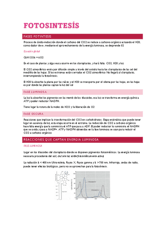 APUNTES Tema 4 FOTOSINTESIS.pdf