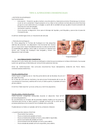Tema-4.-Alteraciones-craneofaciales.pdf