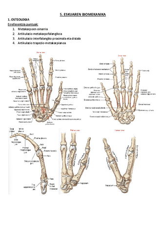 5.-Eskuaren-biomekanika.pdf