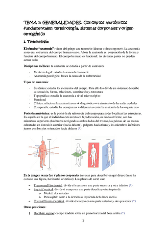 Apuntes anatomia con preguntas test contestadas.pdf