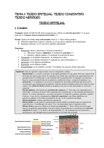 Todo histo con test contestadas.pdf