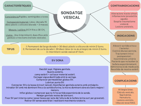 SONDATGE-VESICAL.pdf