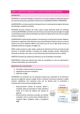 TEMA-1-CONCEPTOS-GENERALES-Y-CACULO-DE-ENEGETICAS-DIARIAS.pdf