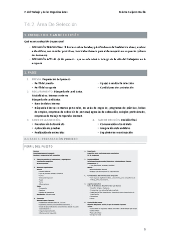 T4.2.-Area-De-Seleccion.pdf