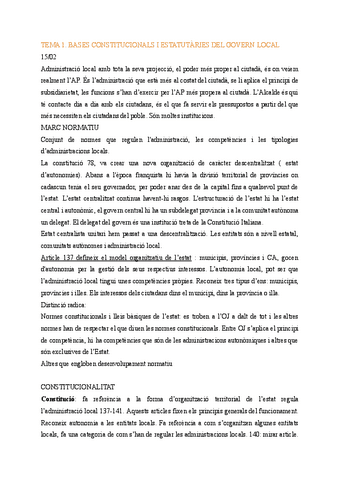 PARCIAL-1-GOVERN-LOCAL.pdf