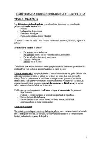 Apuntes-urogine-completos.pdf
