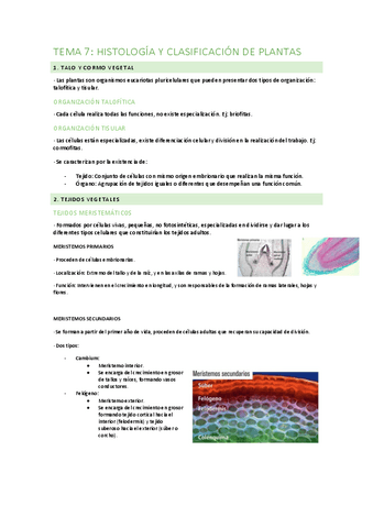 TEMA-7.pdf