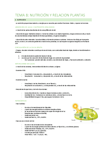 TEMA-8.pdf