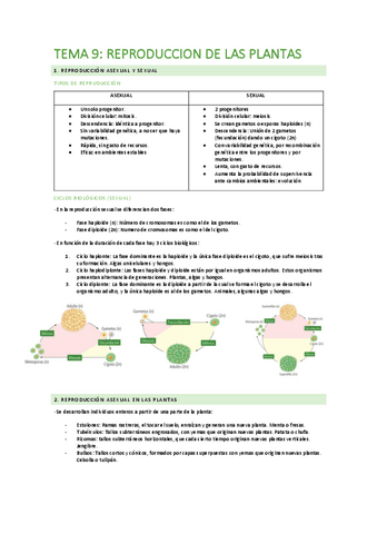 TEMA-9.pdf