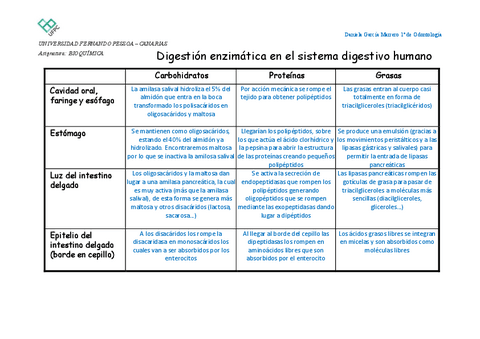 A06-tarea-enzimas.pdf