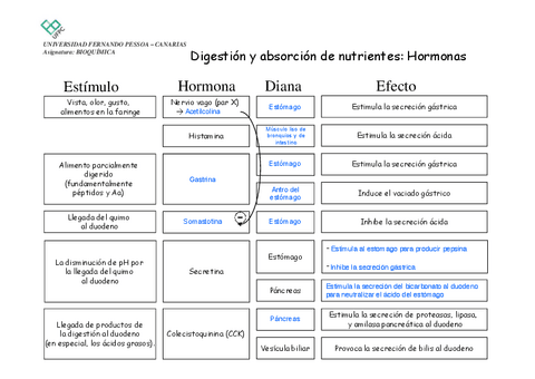 A08-tarea-hormonas.pdf