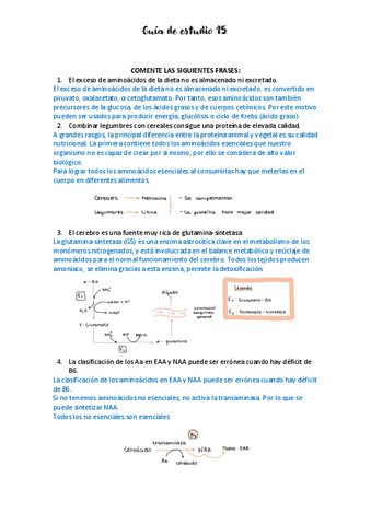 A09-sesion-15-guia-de-estudio.pdf