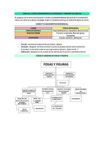 TEMA-3.1-Actitud-diagnostica-en-PTD.pdf