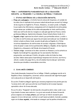 TEMA 1.pdf