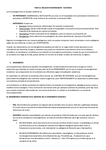 TEMA-6-MICRO.pdf