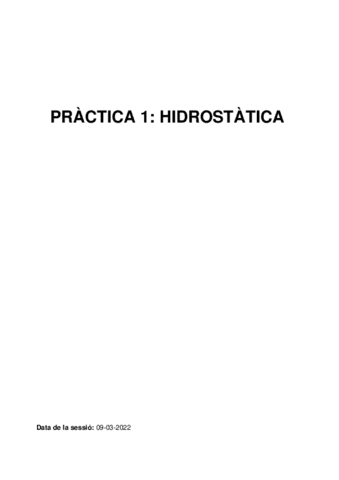 PRACTICA-1-HIDROSTATICAMF.pdf