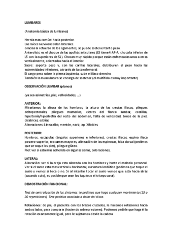 Practica-LUMBARES-TMO1.pdf