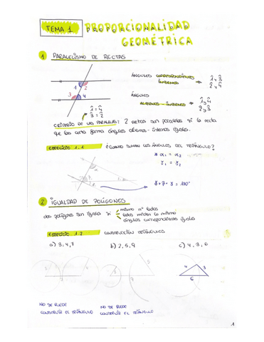 APUNTES-T.1-PROPORCIONALIDAD-GEOMETRICA.pdf